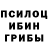 Псилоцибиновые грибы Magic Shrooms Gustd