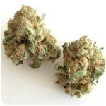 Шишки "White Widow"  (Белая вдова)  Гидропоника -  Бошка VHQ в Новой Ладоге